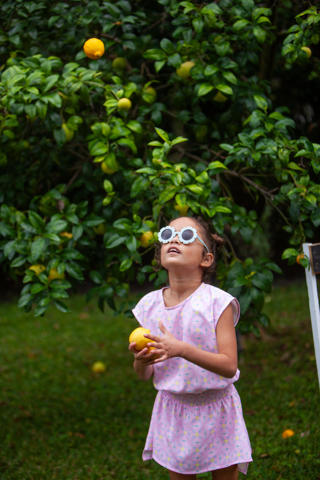 Josie Dress Pink Lemonade