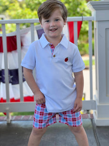 Farristown Plaid Shorts and Apple Polo Set