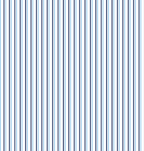 Sibley Short Set-Blue Pinstripe